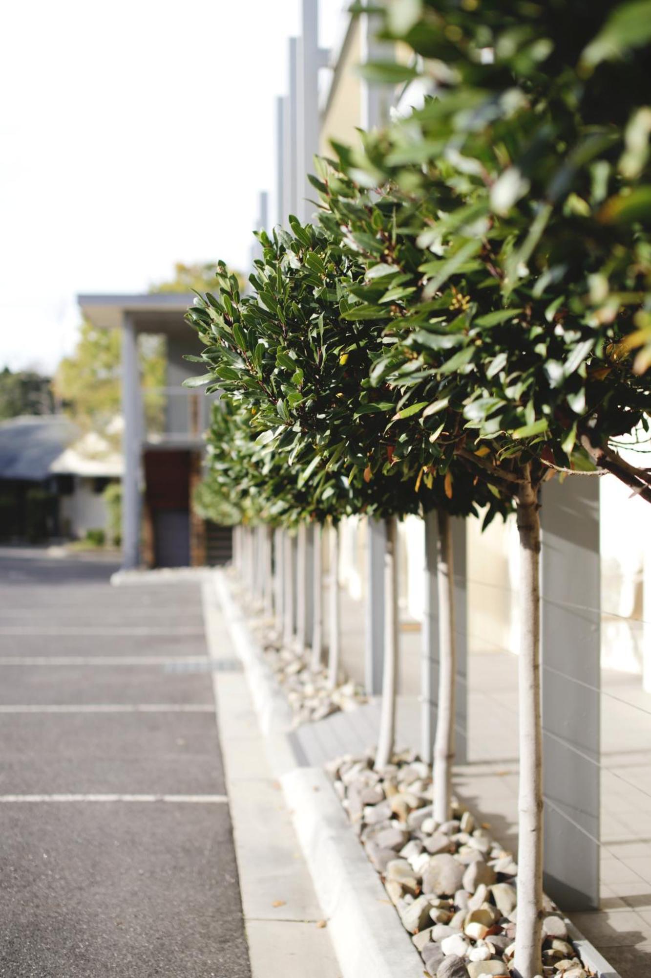 Hotel Brooklands Of Mornington Extérieur photo